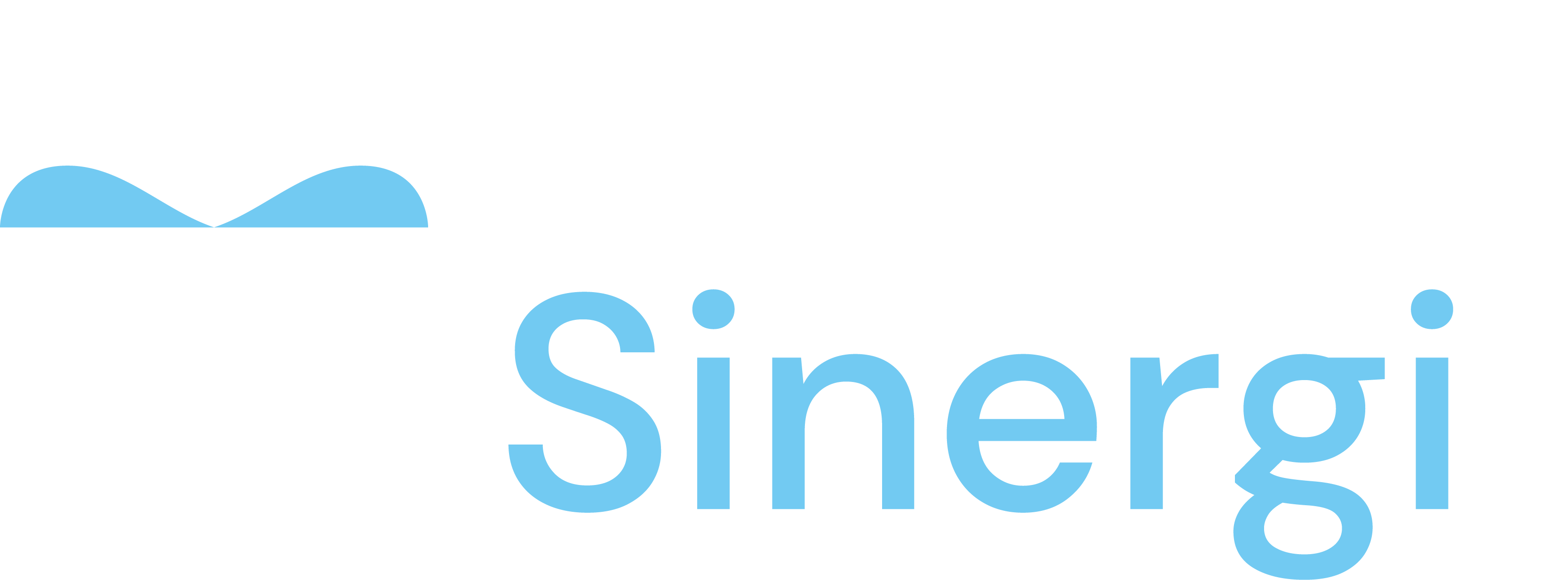 Biomed Sinergi Logo
